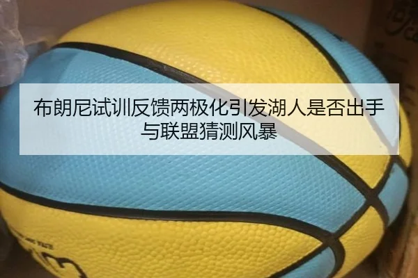 布朗尼试训反馈两极化引发湖人是否出手与联盟猜测风暴